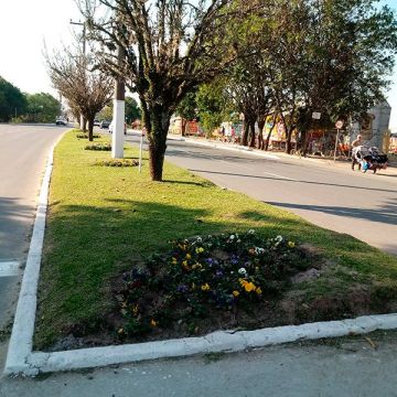 Projeto canteiros Mais Verdes
