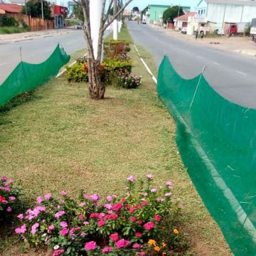 Projeto canteiros Mais Verdes