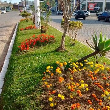 Projeto canteiros Mais Verdes