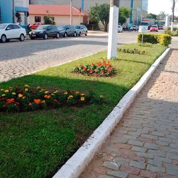 Projeto canteiros Mais Verdes
